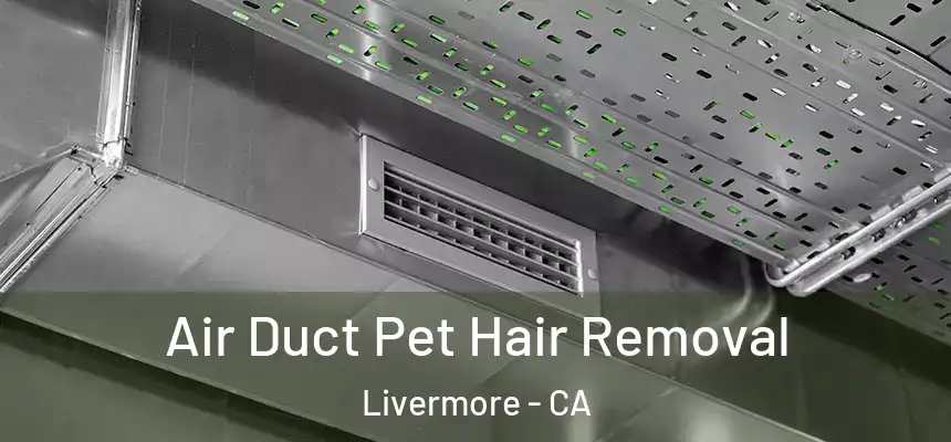 Air Duct Pet Hair Removal Livermore - CA