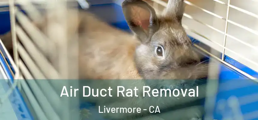Air Duct Rat Removal Livermore - CA
