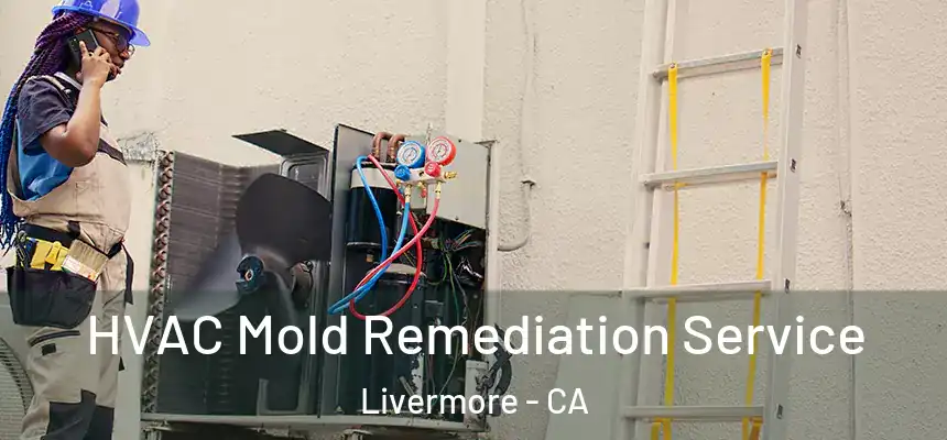 HVAC Mold Remediation Service Livermore - CA