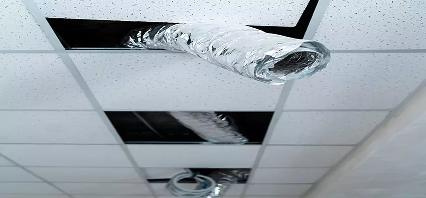 Affordable HVAC Sanitizing After Pest Removal in Livermore