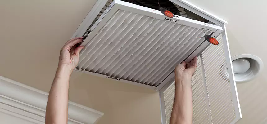 Our Insect Removal from Air Ducts Services in Livermore, CA