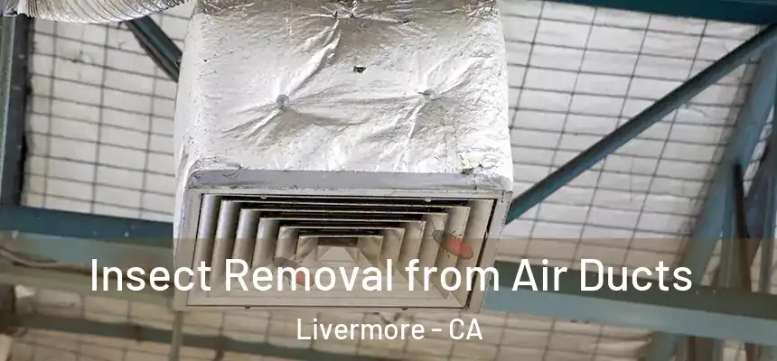 Insect Removal from Air Ducts Livermore - CA