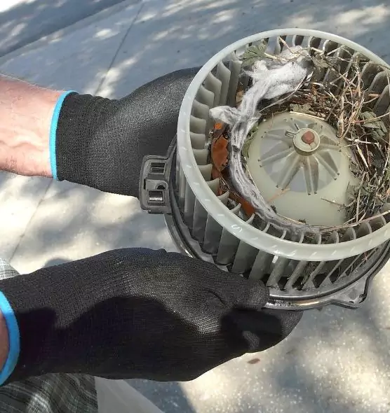 About Air Duct Mice Removal in Livermore, CA