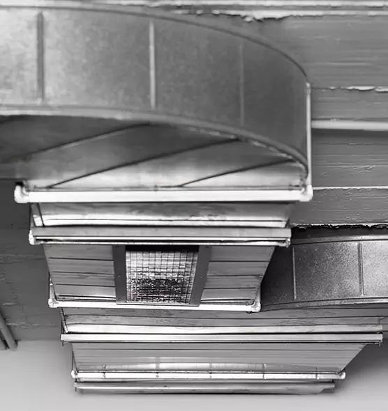 Professional Air Duct Pet Hair Removal in Livermore, CA