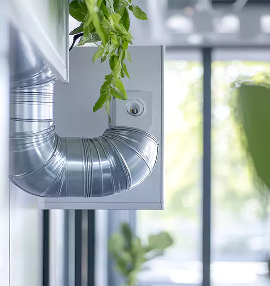 Professional Eco-Safe Dryer Vent Cleaning in Livermore, CA