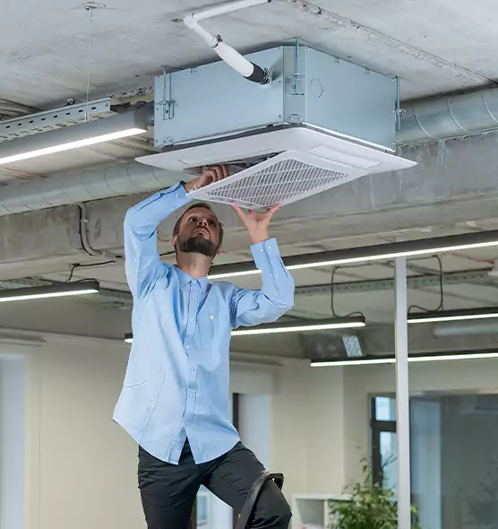Advanced Rodent Droppings In Vents in Livermore, CA