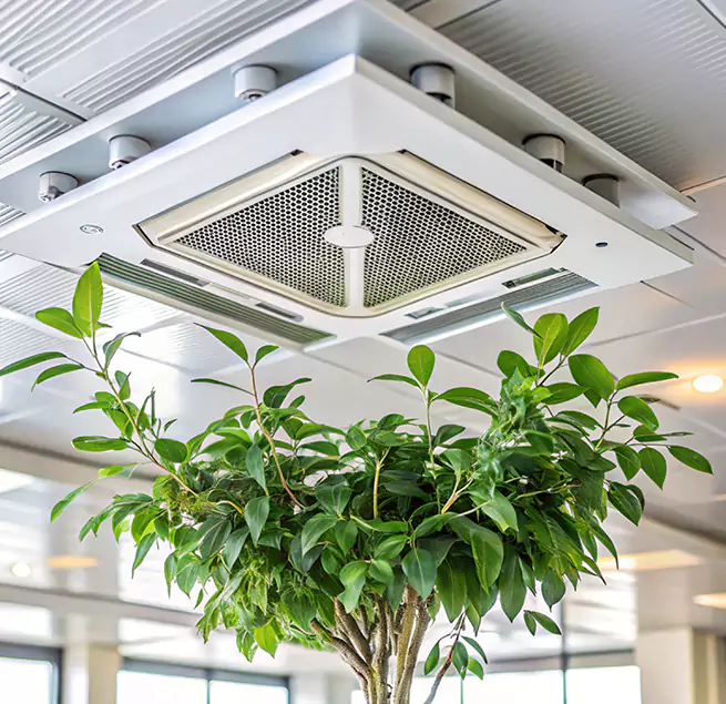 Why Homeowners & Businesses Trust Us in Livermore, CA?