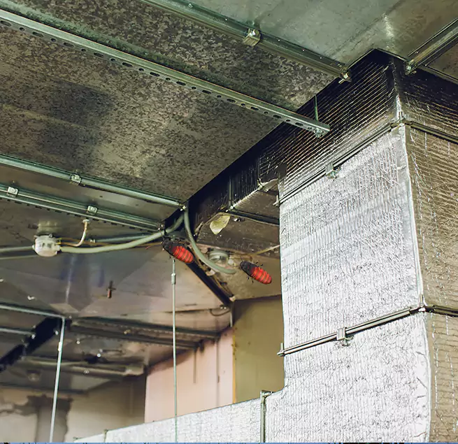 Why Homeowners & Businesses Trust Us Livermore, CA?